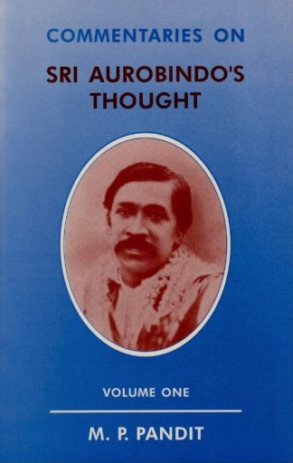 Commentaries on Sri Aurobindo's Thought Volume 1